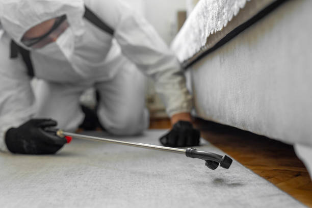 Professional Bed Bug Control technician working in Allen Park, MI