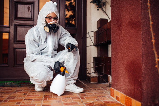 Reliable Bed Bug Control contractor in Allen Park, MI by Nex Pest Control