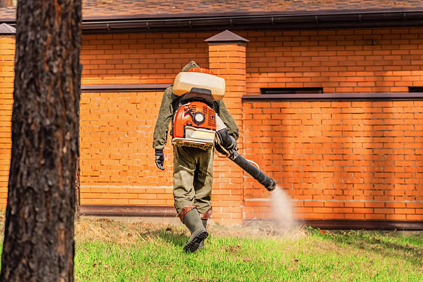 Trusted Termite Control service in Allen Park, MI - Nex Pest Control